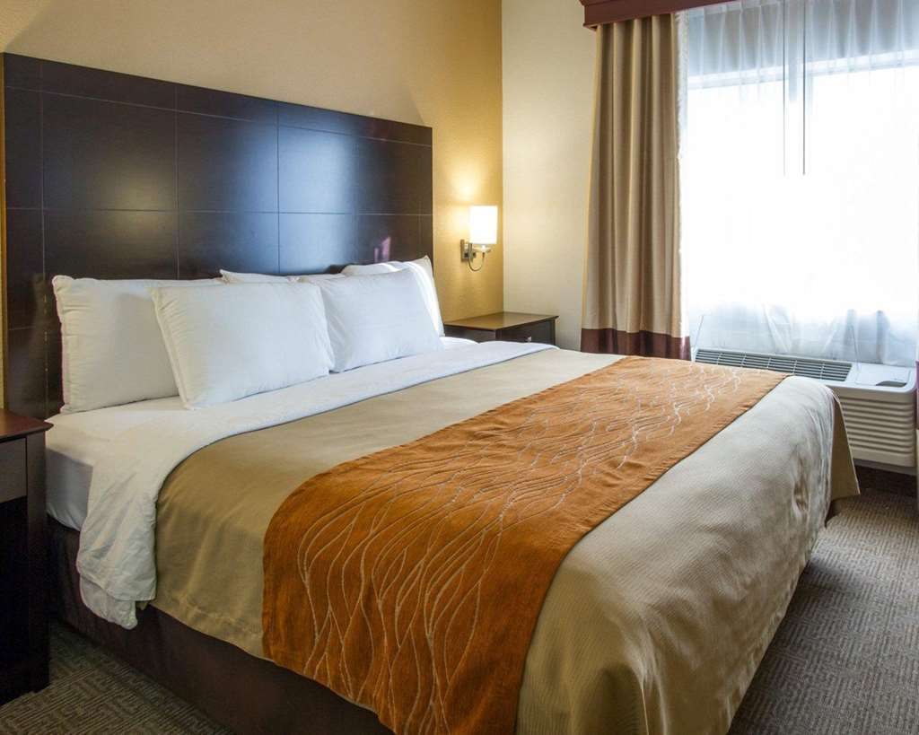 Comfort Inn & Suites Paw Paw Cameră foto
